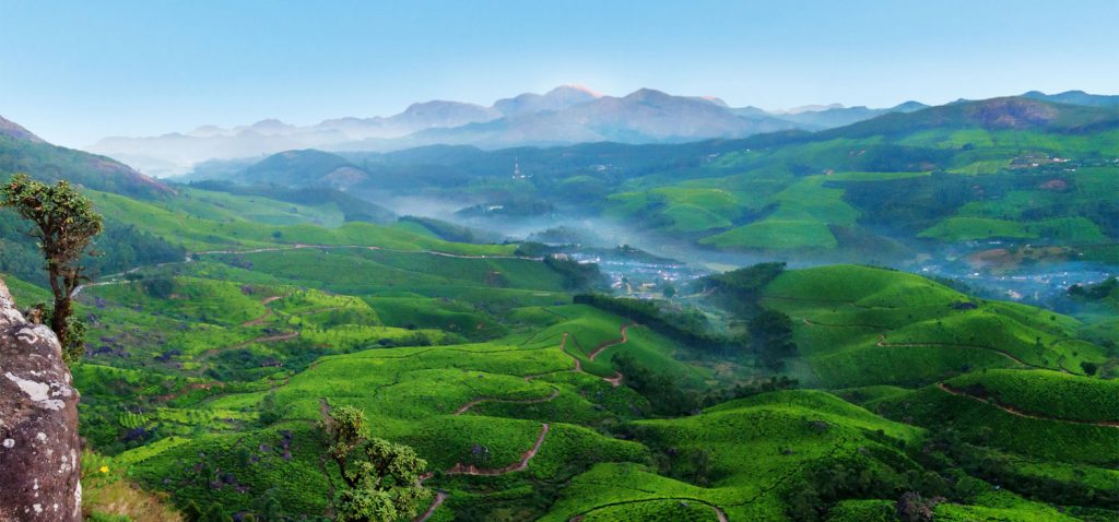Discover Kerala on your honeymoon