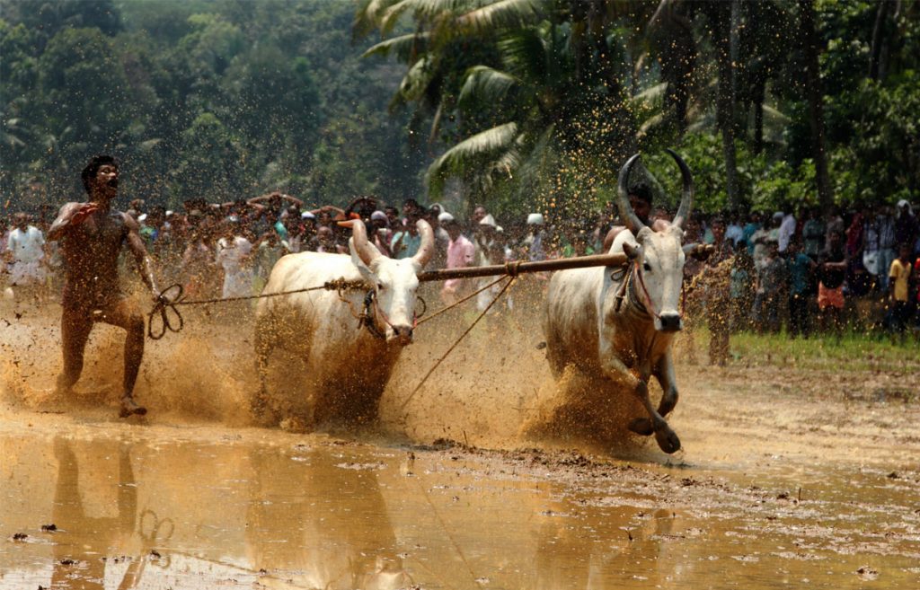 A purposive Kerala tour